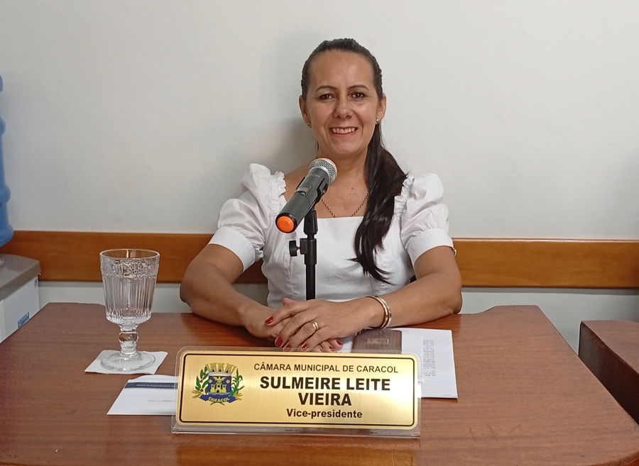 Foto do Vereador Meire Leite Vieira